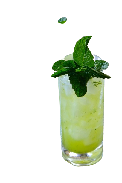 Mojito-by-enrilemoine-6-scaled-removebg-preview